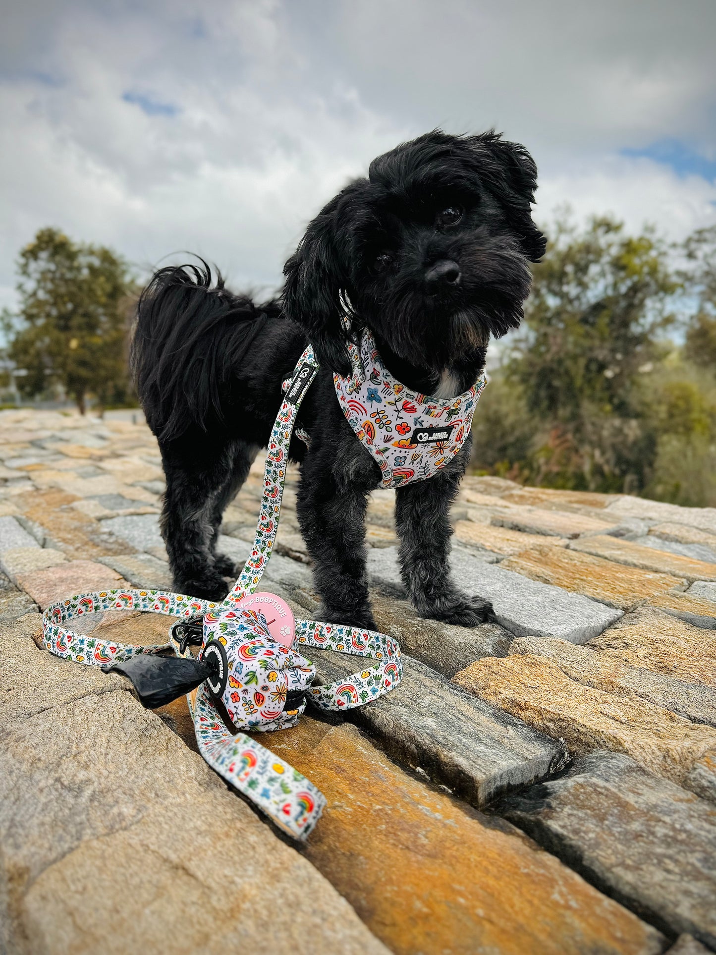 Heavenly Kiss Harness Set