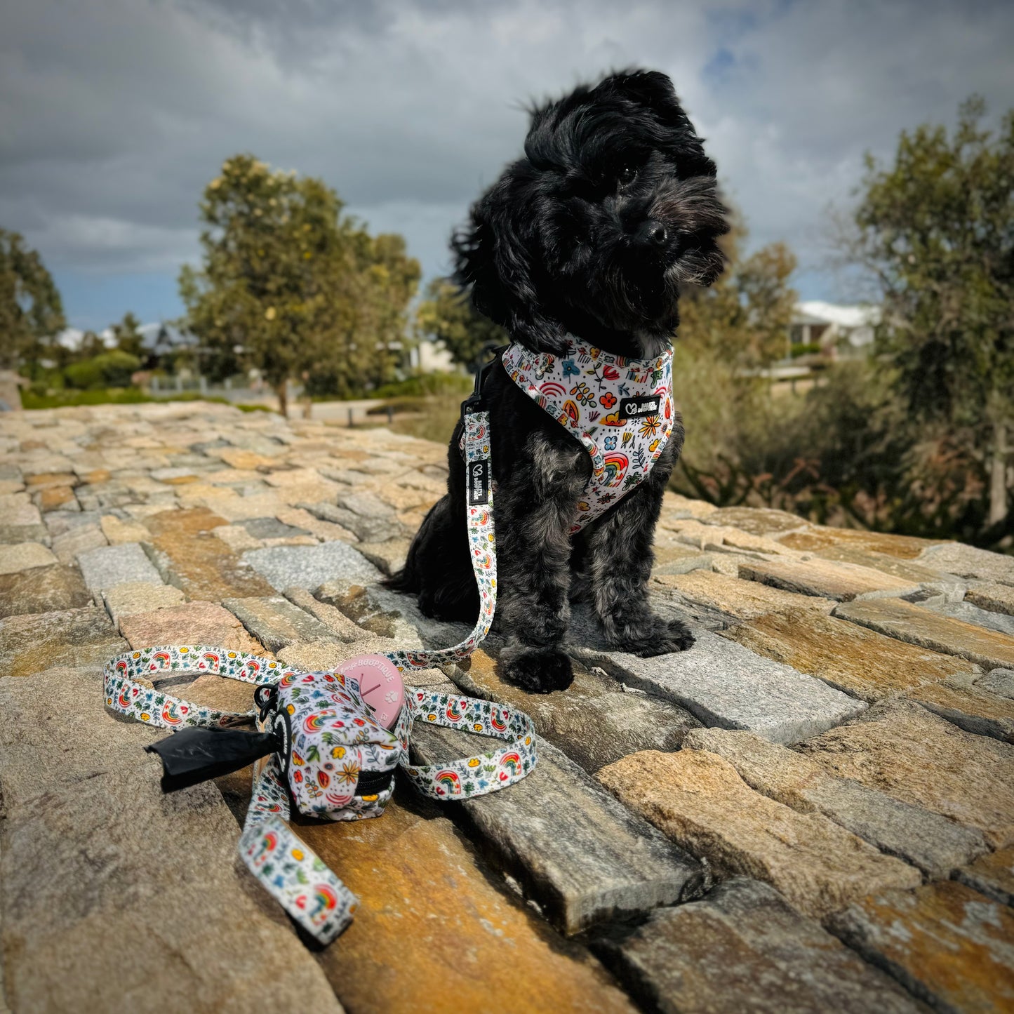 Heavenly Kiss Harness Set