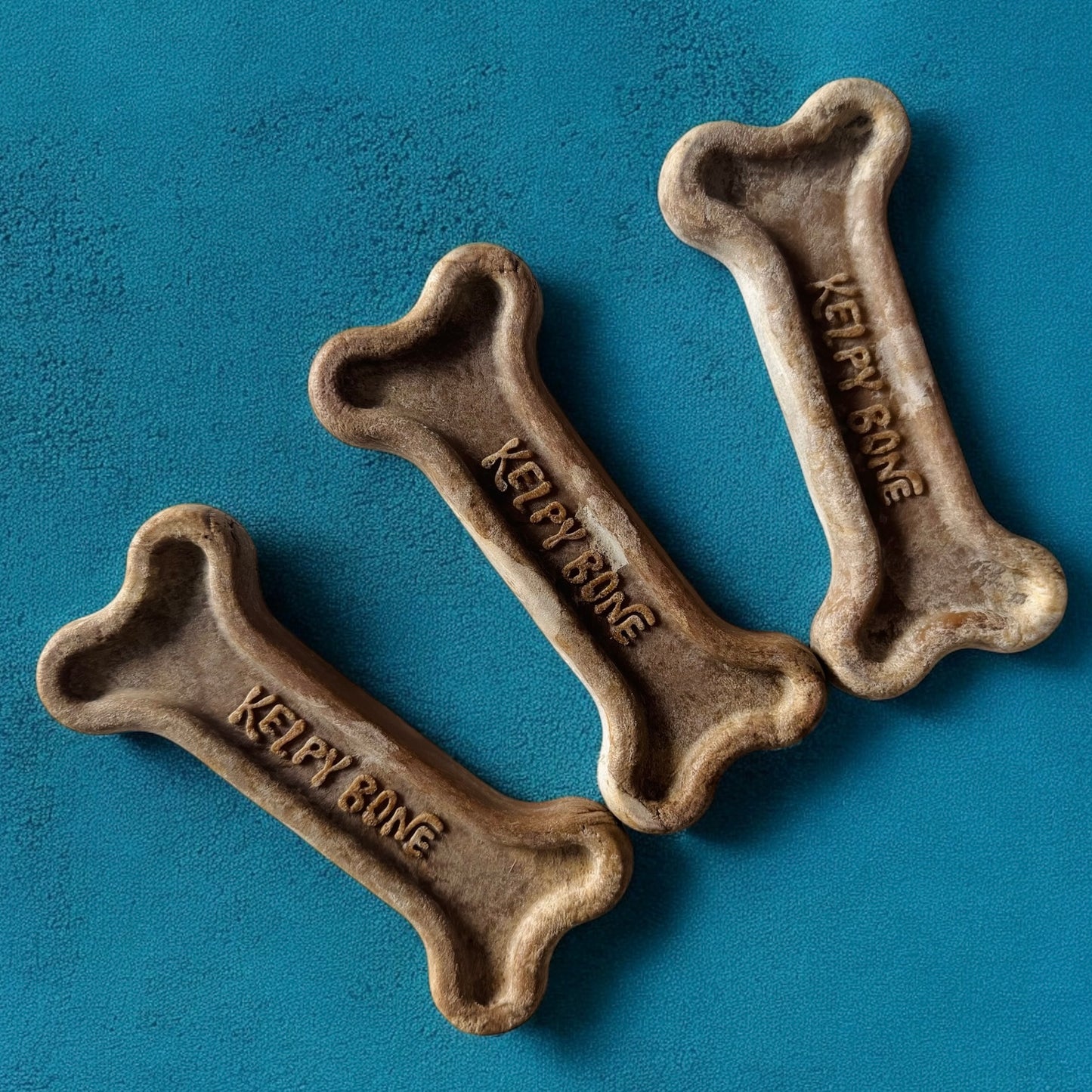 1x Kelpy Bone || Kelpy Bones