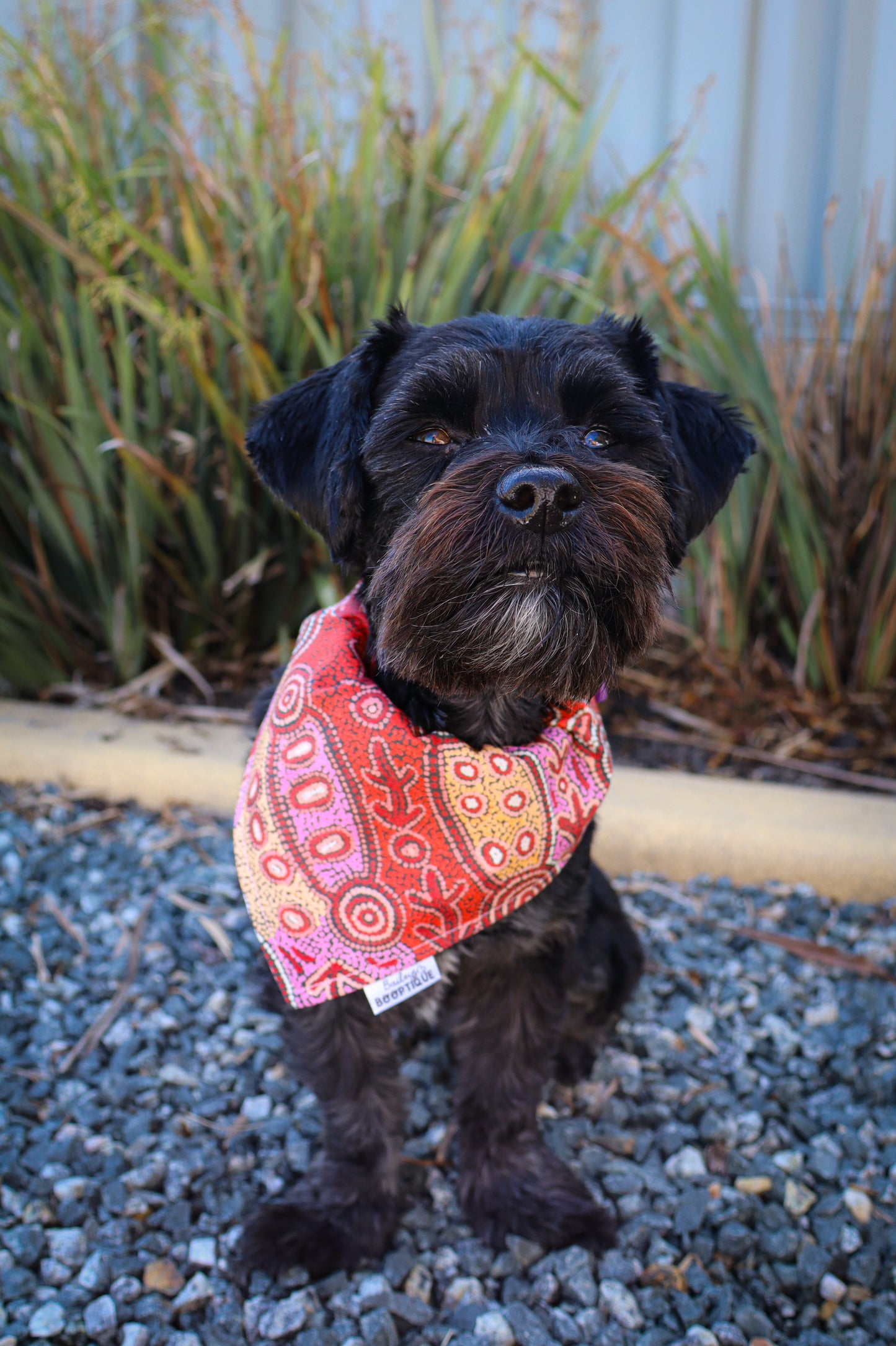 Fire Country Dreaming Custom Bandanas