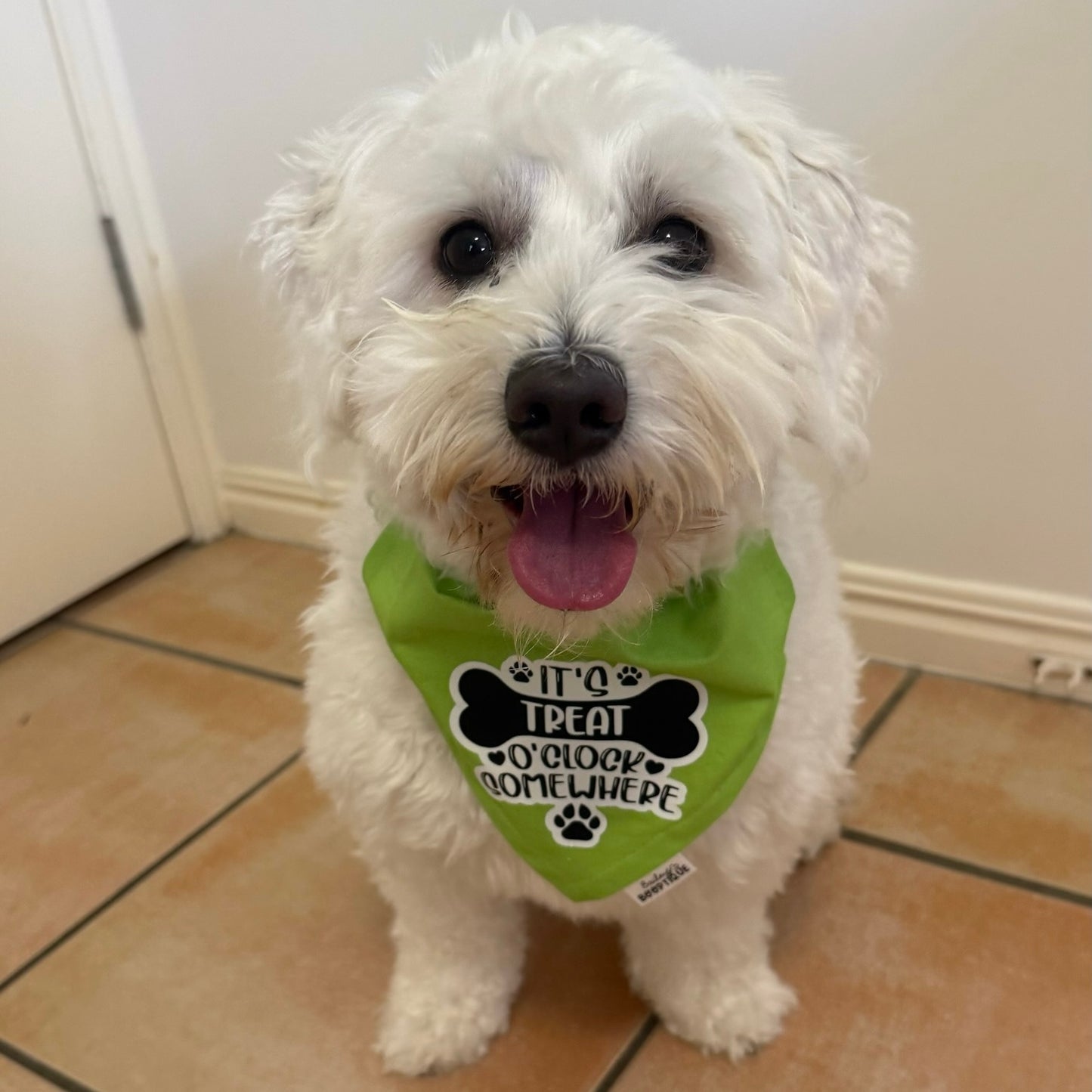 It’s Treat O’Clock Somewhere Custom Bandana