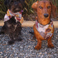 Kinship Collar Bows