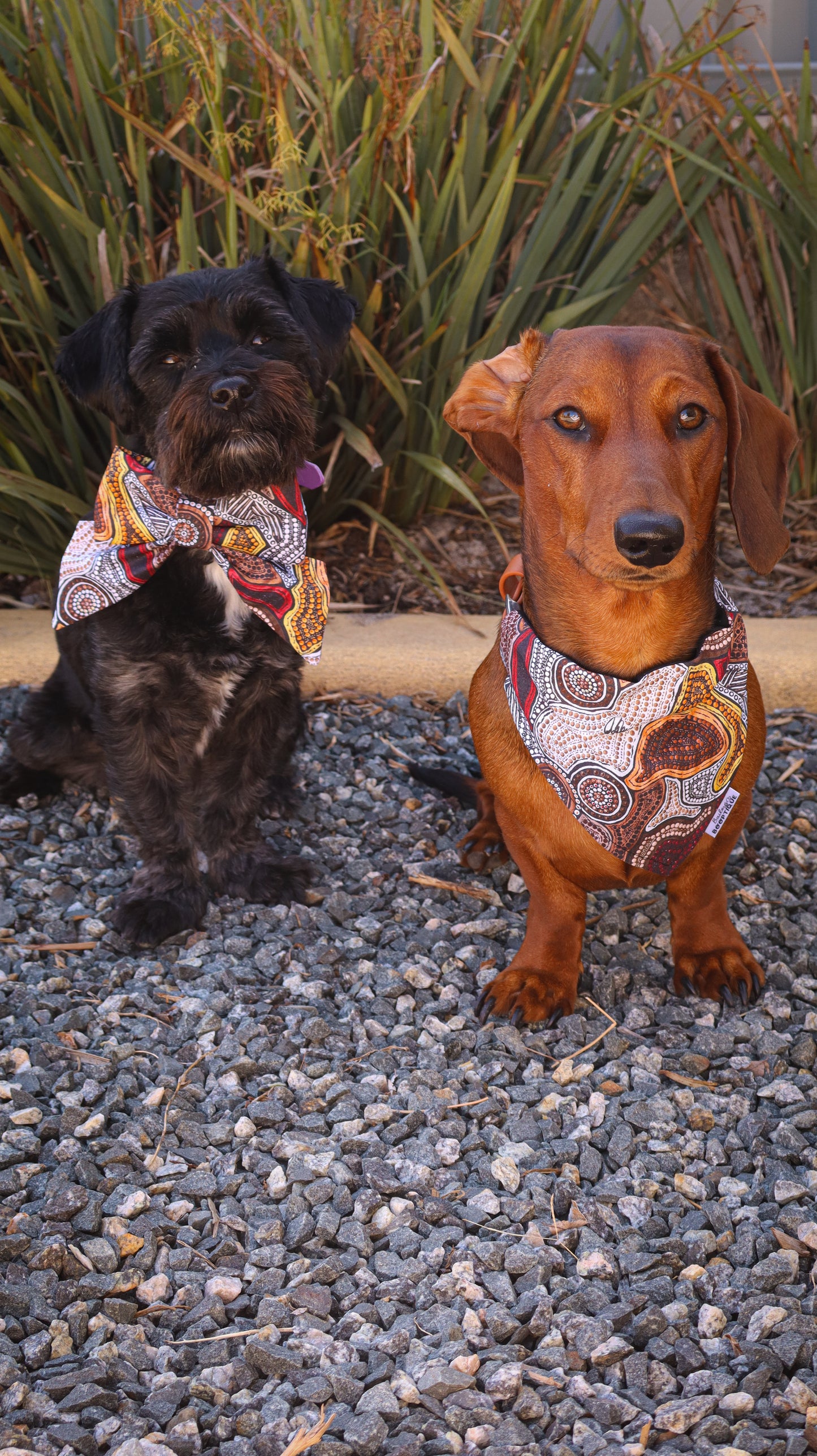 Kinship Collar Bows