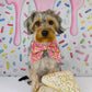 Fairy Bread Collar Bows