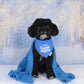 Snuggle Weather Bandana