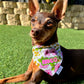 Garden Party Custom Bandana