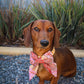 Fire Country Dreaming Collar Bows