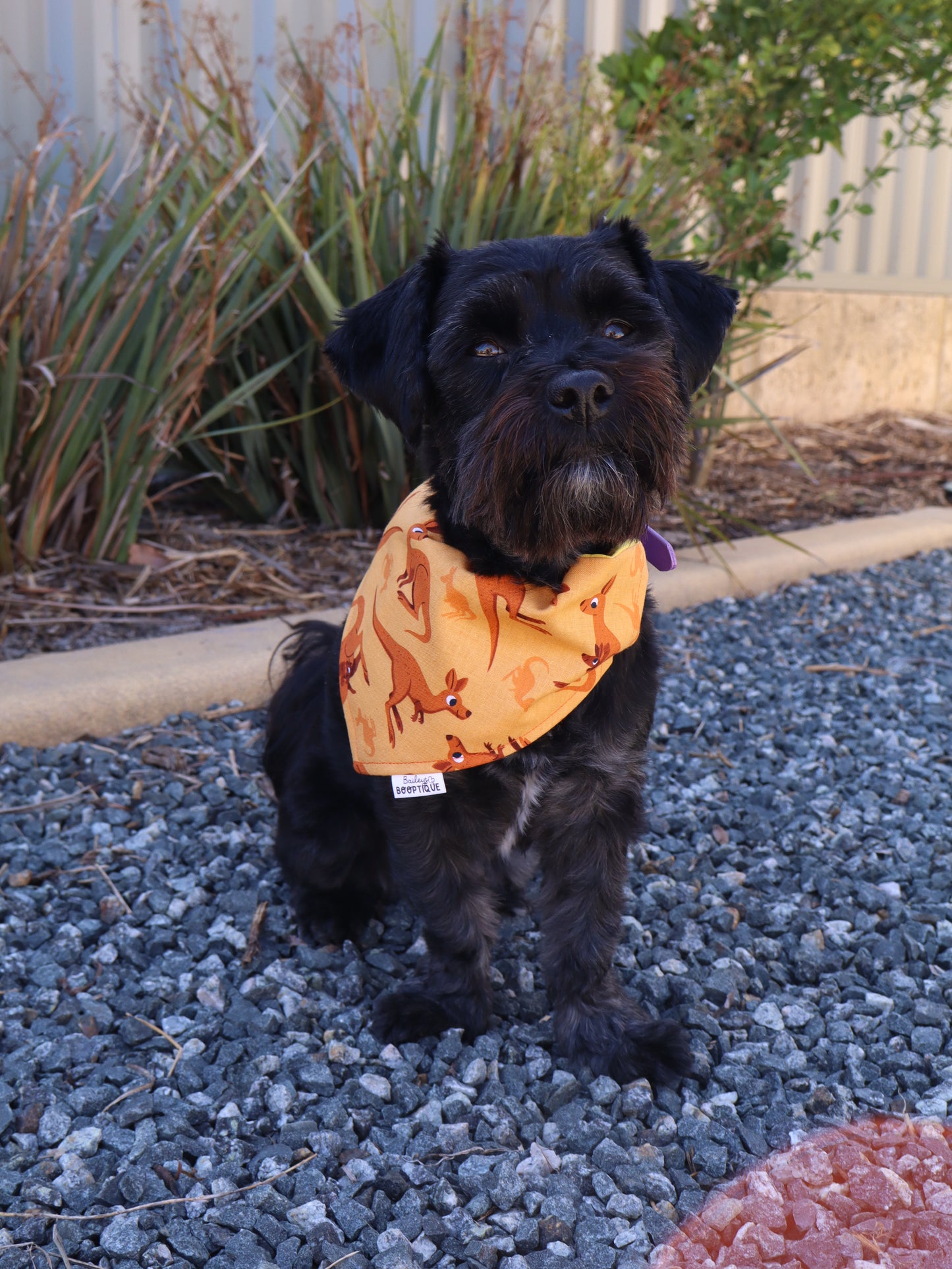 Roo Crew Custom Bandanas