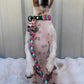 Defying Pawvity Pet ID Tag