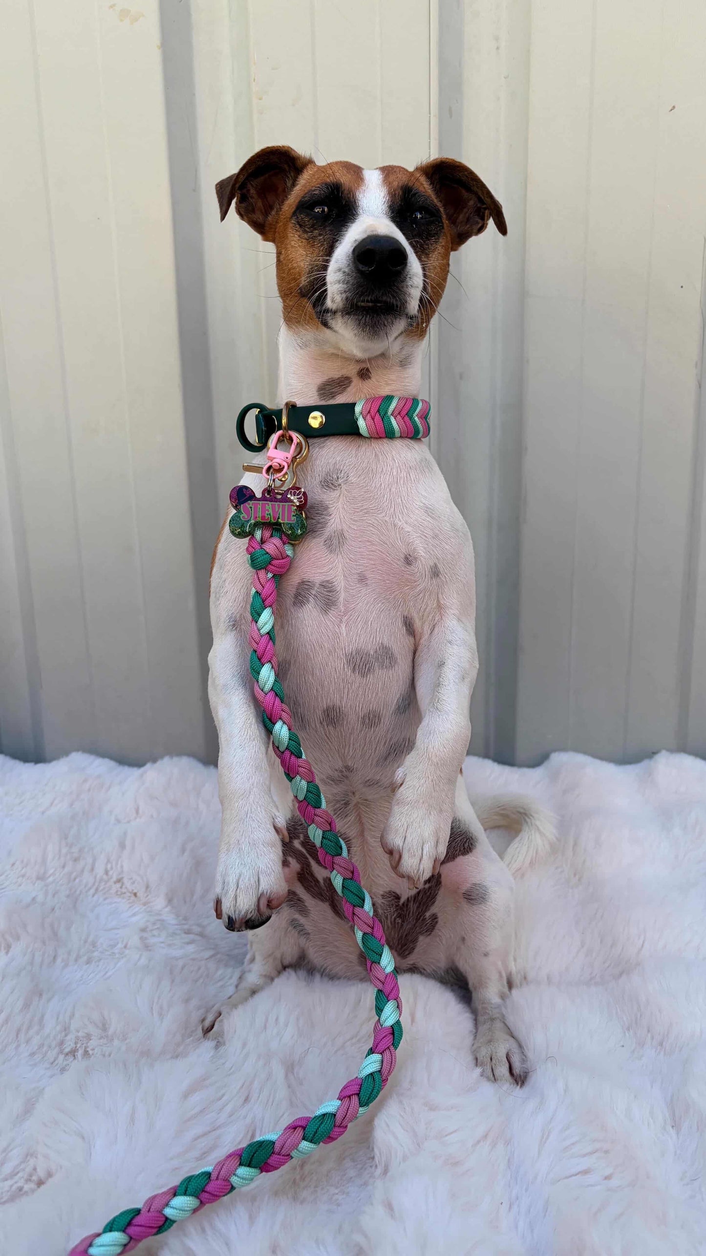 Defying Pawvity Pet ID Tag
