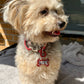 From The Heart Pet ID Tag