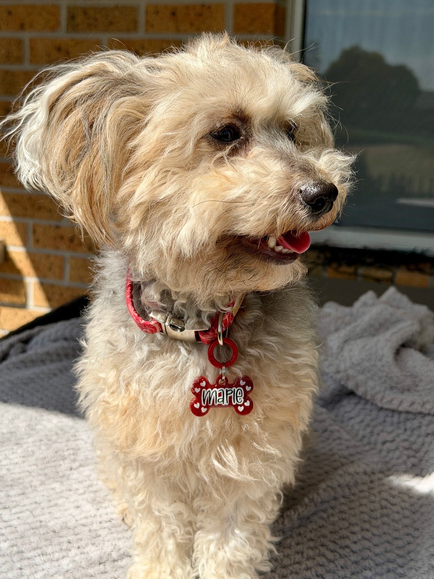 From The Heart Pet ID Tag