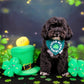 St Patrick’s Burrow Toy