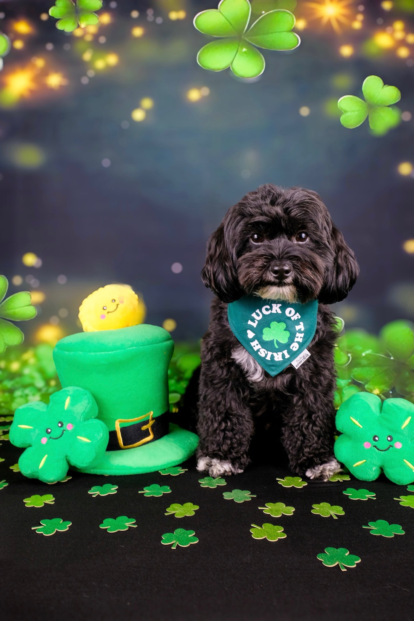 St Patrick’s Burrow Toy