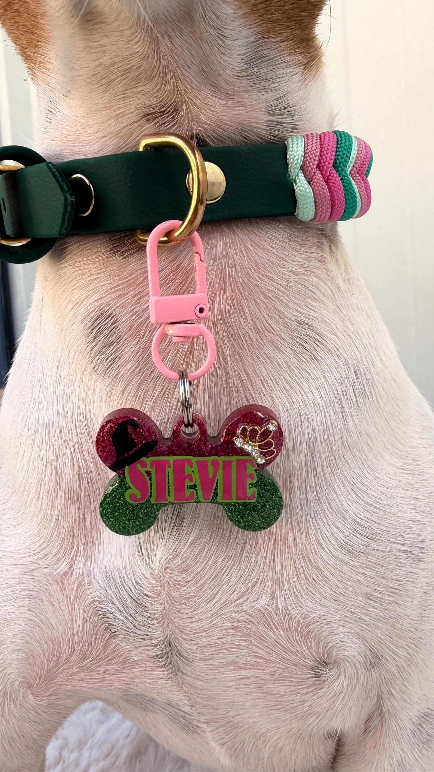 Defying Pawvity Pet ID Tag