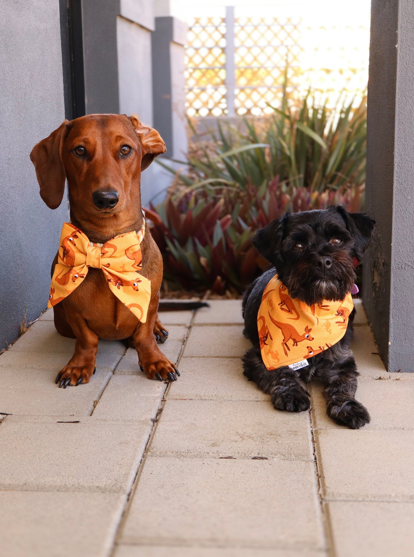 Roo Crew Collar Bows