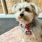 From The Heart Pet ID Tag