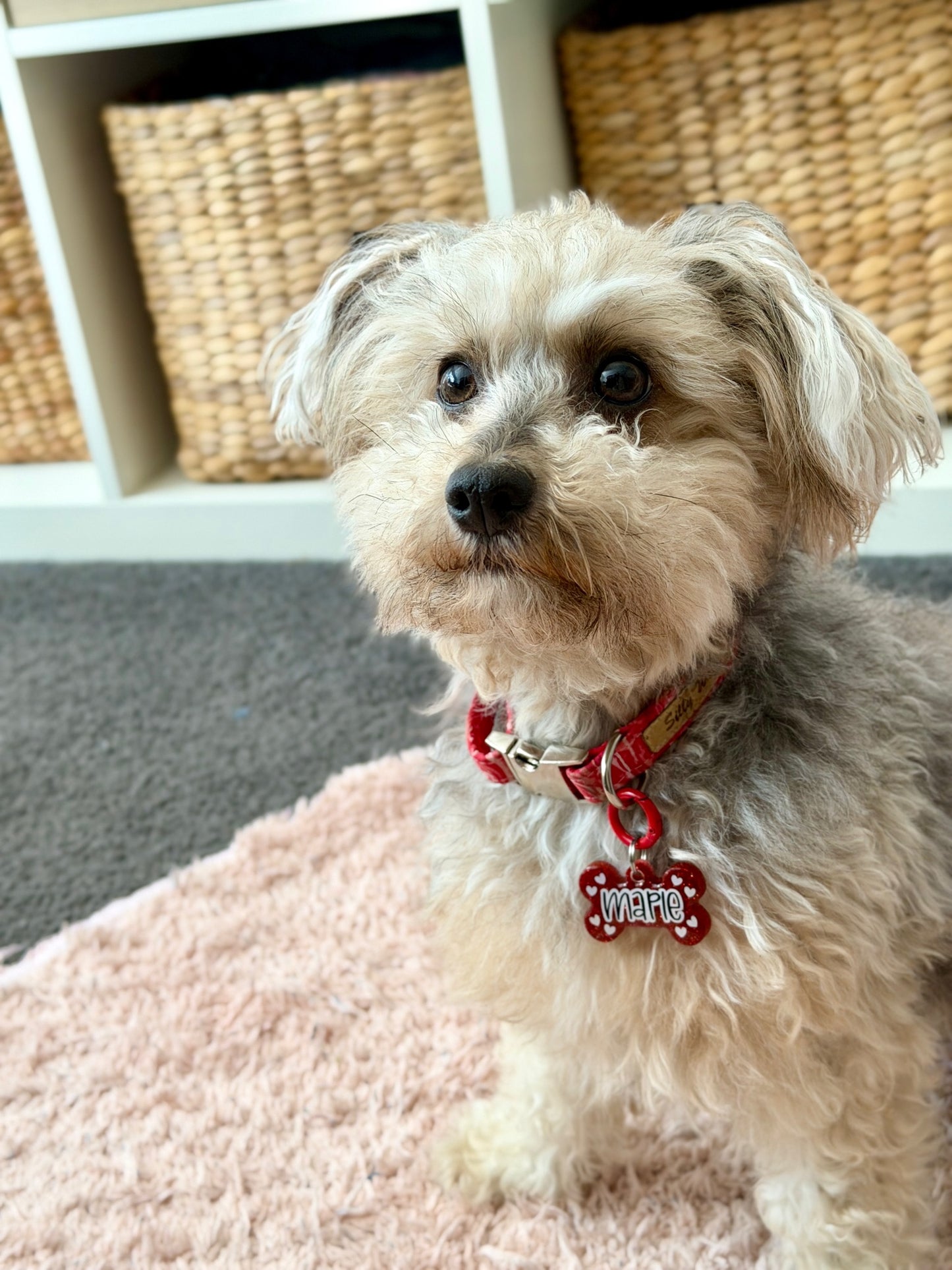 From The Heart Pet ID Tag