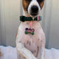 Defying Pawvity Pet ID Tag