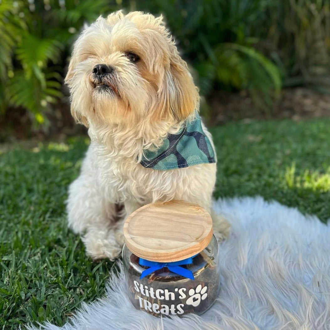 Personalised Treat Jar – Baileys Booptique - Main Image