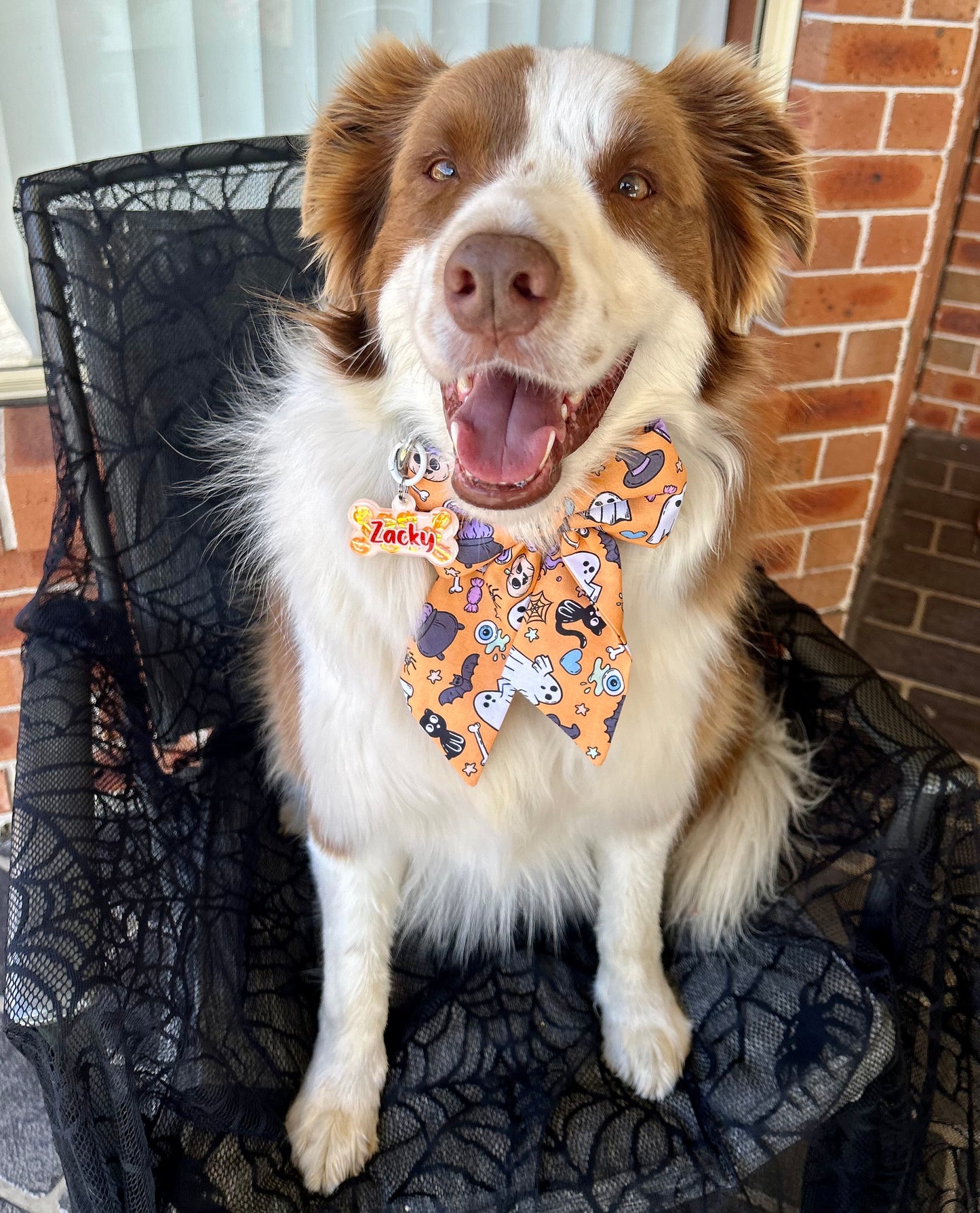 Pumpkin Patch Halloween Resin ID Tag