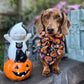 Pretty Pumpkins Collar Bows