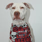 Only Cunts Judge Bully Breeds custom Bandana