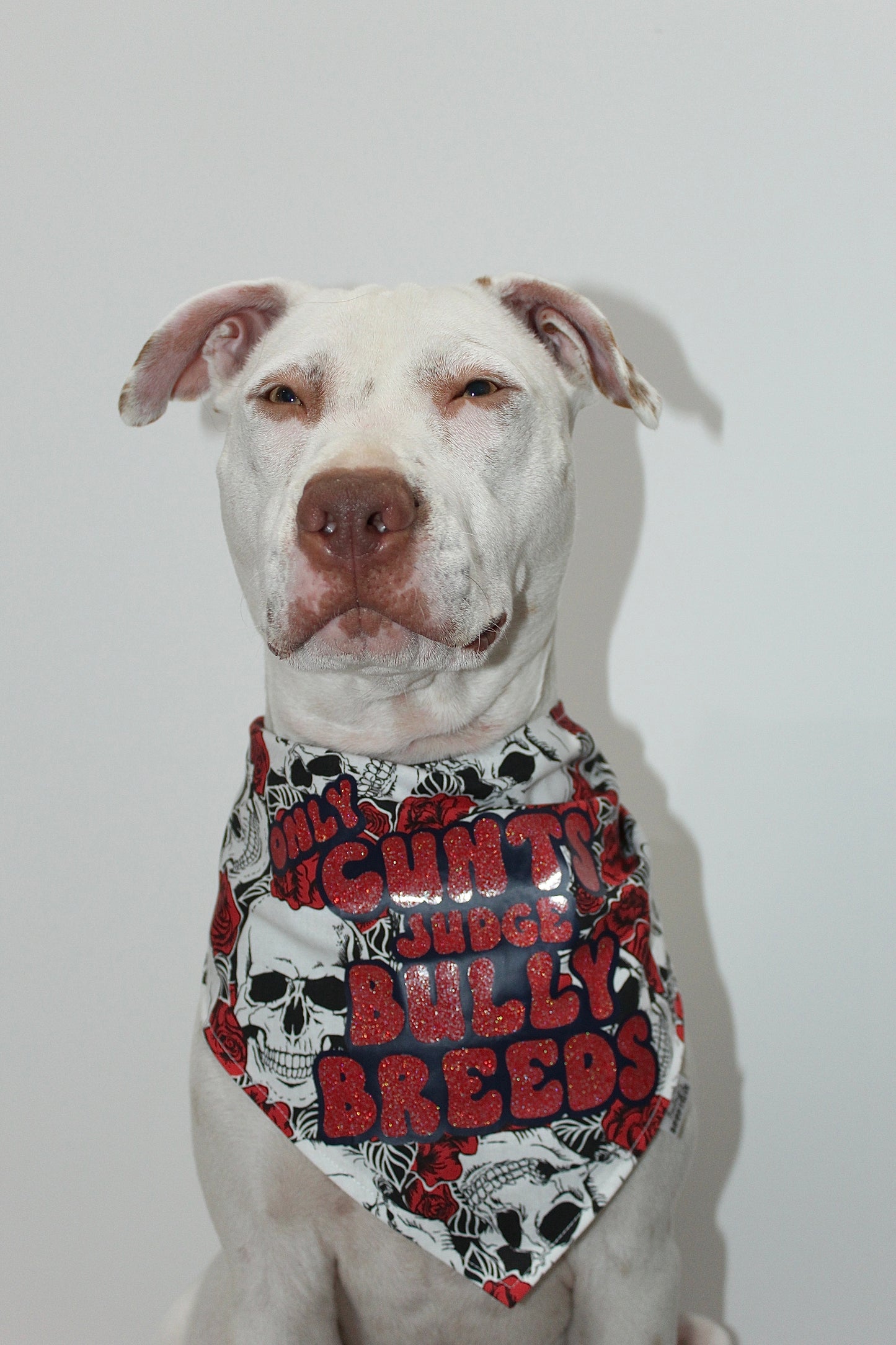 Only Cunts Judge Bully Breeds custom Bandana