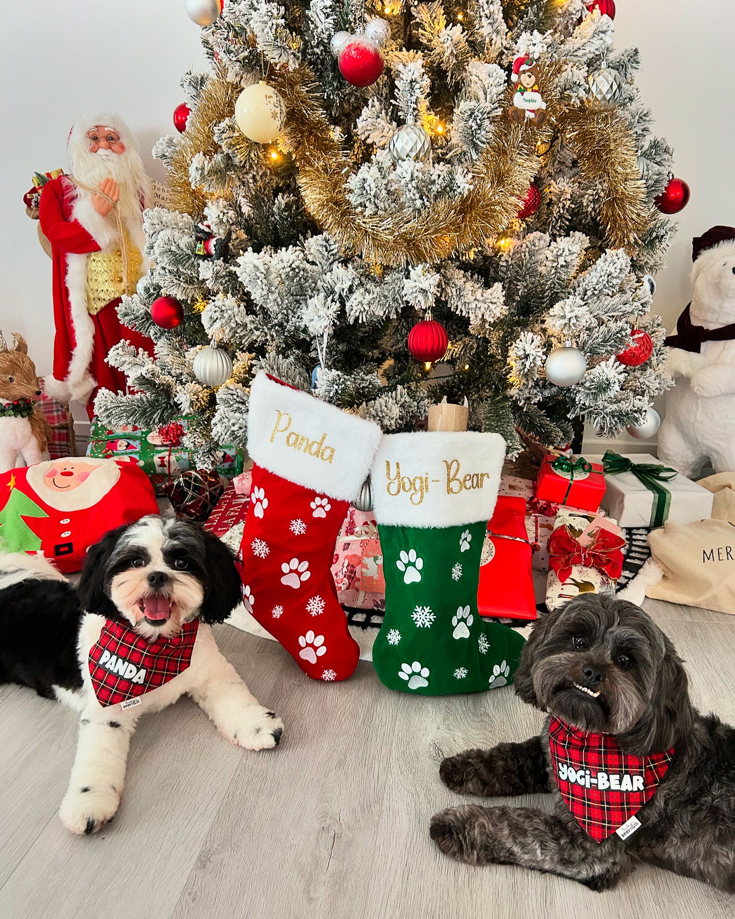 Personalised Pet Christmas Stockings; 2 Colours