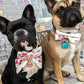 Exclusive Love Letter Collar Bow