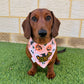 Cute & Creepy Custom Halloween Bandana