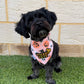 Cute & Creepy Custom Halloween Bandana