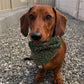 Candy Cane Custom Christmas Bandana