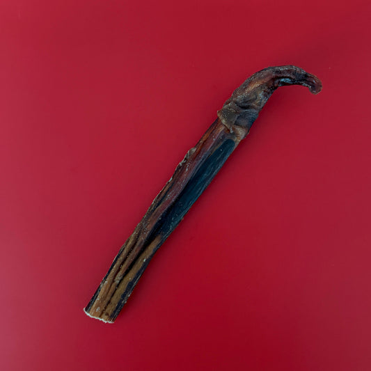 Large Bull Chew (20cm)