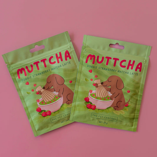 Strawberry Muttcha - Doggie Matcha Latte