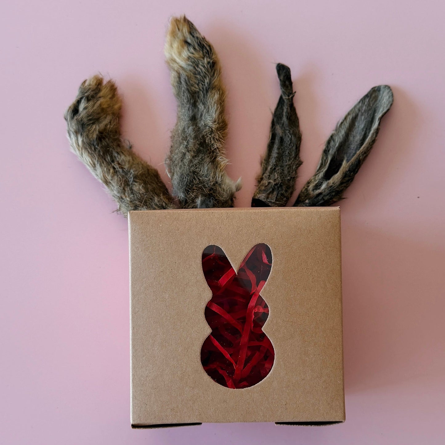 Easter Bunny Box