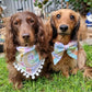 Pastel Palette Custom Bandanas