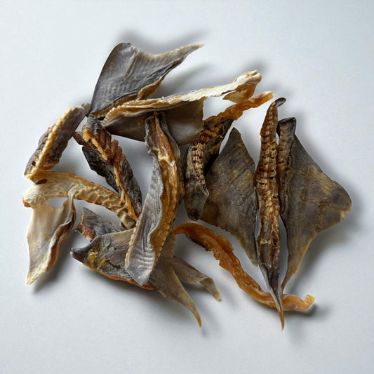 Shark Fin Pieces (1pc)